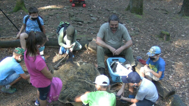 Ein Höhepunkt in der zweiten Woche war die Exkursion in den Wald mit einem Förster.