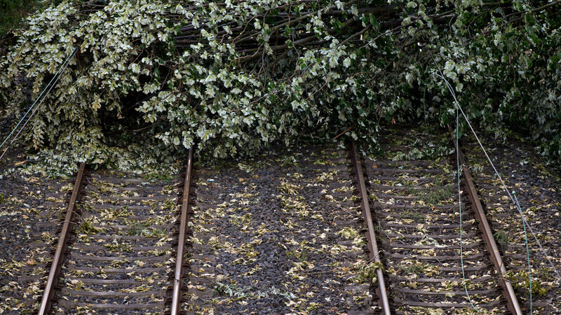 Einige Bahnstrecken waren am Mittwochnachmittag wegen umgestürzter Bäume gesperrt. (Symbolbild)
