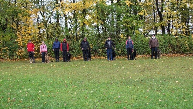 Die Teilnehmer der Herbstprüfung des Schäferhundevereins.