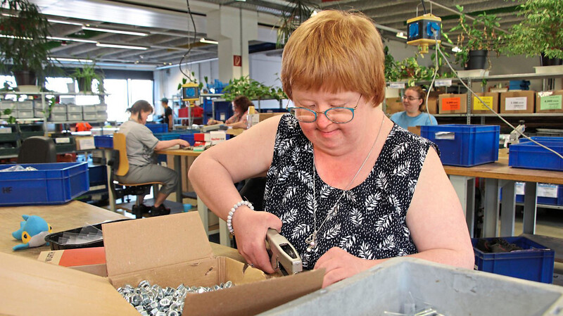 In Deutschland sind etwa 320 000 Menschen mit Behinderung in eigens für sie konzipierten Werkstätten beschäftigt.
