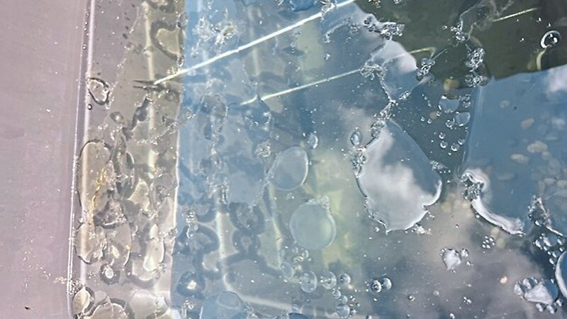Der Ölfilm auf dem Wasser in der Regentonne ist deutlich zu sehen. Dieses ist eigentlich zum Gießen der Pflanzen gedacht.