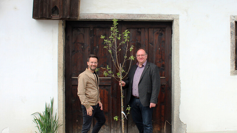 Die ILE Laber mit Stefan Klebensberger (l.) und Herbert Lichtinger verschenkt bis zu 700 Obstbäume.