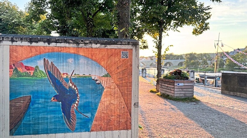 Bisher gestaltete Barbara Lang mit ihren Schülerinnen und Schülern vor allem das Schulgebäude des Albrecht-Altdorfer-Gymnasiums künstlerisch um. Mit dem Projekt "Vogelpfad" ging es nun die Altstadt.