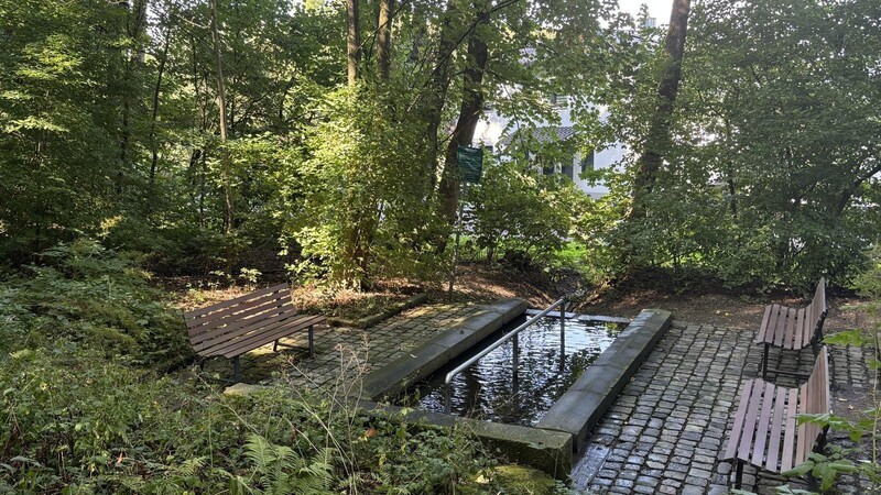 Idyllisch eingebettet zwischen Farnen und schattigen Laubbäumen liegt eines der beiden Kneipp-Becken im Stadtpark, hier in der Nähe der Frauenbrünnlstraße.