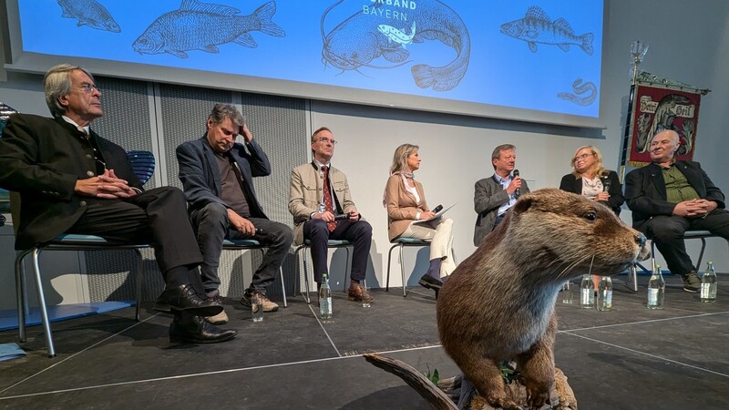 Ein ausgestopfter Fischotter auf dem Podium des Landesfischereitags: Dass der Räuber sich an Teichwirtschaften mästet, stark vermehrt, und dann auch umliegende Ökosysteme schädigt, gilt unter Biologen als Konsens.