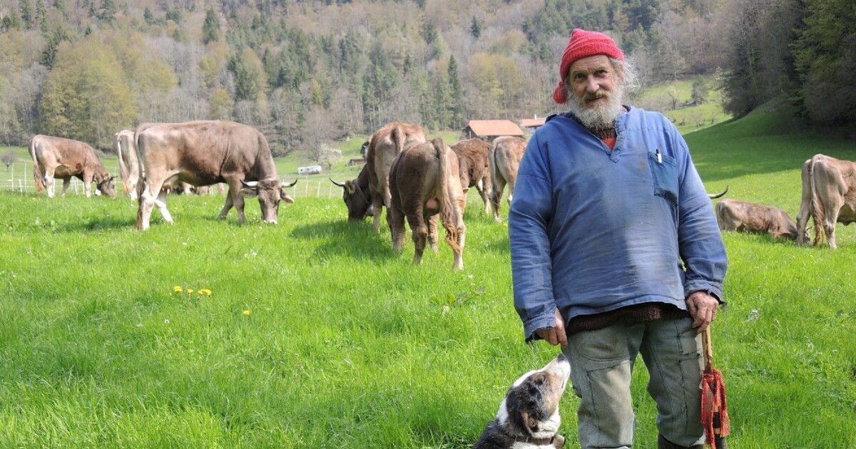 Der mit der Kuh tanzt: Schweizer Bergbauer kämpft für Hörner
