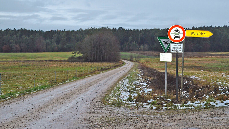 Der Mühlweg, seit Kurzem für die Öffentlichkeit gesperrt, aber auch der Wiederaufbau eines "Forsthauses" in Waldfried bei Aiglsbach waren Themen auf der jüngsten Sitzung des Gemeindrates.