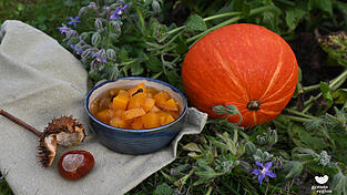 Dieses alte Rezept schmeckt grade zur Kürbis-Saison zeitlos gut. Dieses alte Rezept schmeckt grade zur Kürbis-Saison zeitlos gut.