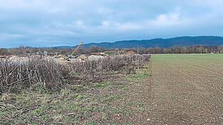 Der Kiesgrubenbetreiber muss nun die ordnungsgemäßen Grenzabstände, zehn Meter zu den Ackerflächen und dem Feldweg sowie 20 Meter zur Kreisstraße, wiederherstellen. Seit mehr als einem Jahr muss deshalb der angrenzende Landwirt den Grenzabstand erbringen. Ein zehn Meter breiter Streifen Ackerland liegt deshalb brach. Den Ernteausfall muss der Landwirt zivilrechtlich einklagen. Der Kiesgrubenbetreiber muss nun die ordnungsgemäßen Grenzabstände, zehn Meter zu den Ackerflächen und dem Feldweg sowie 20 Meter zur Kreisstraße, wiederherstellen. Seit mehr als einem Jahr muss deshalb der angrenzende Landwirt den Grenzabstand erbringen. Ein zehn Meter breiter Streifen Ackerland liegt deshalb brach. Den Ernteausfall muss der Landwirt zivilrechtlich einklagen.
