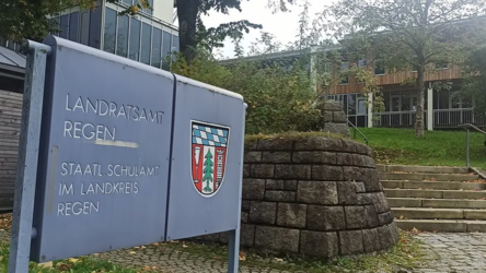Wie das Landratsamt Regen mitteilt, ist eine 79-jährige Person am Bornavirus erkrankt. (Symbolfoto) Wie das Landratsamt Regen mitteilt, ist eine 79-jährige Person am Bornavirus erkrankt. (Symbolfoto)