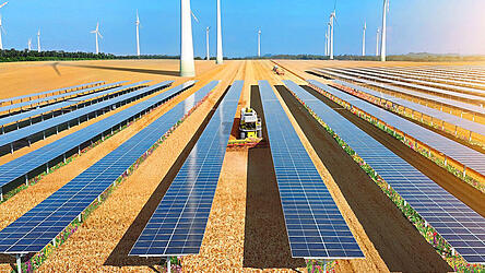 Eine geplante Agri-PV-Anlage führte zu einer Debatte. Eine geplante Agri-PV-Anlage führte zu einer Debatte.