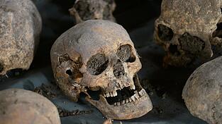 In Österreich sollen zwei Männer aus dem Regensburger Land Totenschädel geklaut haben. (Symbolbild) In Österreich sollen zwei Männer aus dem Regensburger Land Totenschädel geklaut haben. (Symbolbild)