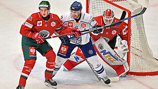 Die Straubinger Fans können sich wieder auf spannende CHL-Partien (wie hier Frölunda HC im November 2022) freuen. Die Straubinger Fans können sich wieder auf spannende CHL-Partien (wie hier Frölunda HC im November 2022) freuen.