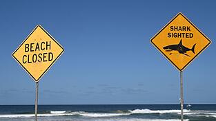 Die Strände in der Region wurden zunächst gesperrt. (Symbolbild) Die Strände in der Region wurden zunächst gesperrt. (Symbolbild)