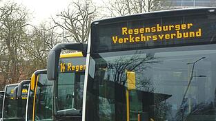 Linienbusse des Regensburger Verkehrsverbunds aufgereiht am zentralen Omnibusbahnhof in Regensburg: Der Kreistag Straubing-Bogen hat entschieden, dass der Landkreis einen Beitritt zu diesem Verbund anstrebt. Linienbusse des Regensburger Verkehrsverbunds aufgereiht am zentralen Omnibusbahnhof in Regensburg: Der Kreistag Straubing-Bogen hat entschieden, dass der Landkreis einen Beitritt zu diesem Verbund anstrebt.