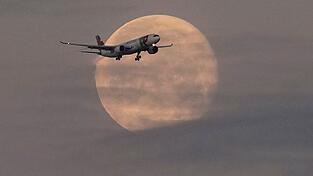 Die Lufthansa will bei der portugiesischen TAP einsteigen. Die Lufthansa will bei der portugiesischen TAP einsteigen.