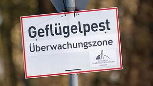 In Baden-Württemberg sind erste Fälle der Vogelgrippe nachgewiesen worden. (Symbolbild) In Baden-Württemberg sind erste Fälle der Vogelgrippe nachgewiesen worden. (Symbolbild)