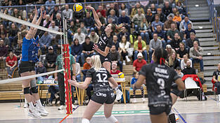 Ein Zweierblock - kein Problem: Diagonalangreiferin Annie Hatch sammelte in Dingolfing mit 13 Zählern die meisten Raben-Punkte und verwandelte nach nicht mal einer Stunde Spielzeit den Matchball zum 25:7. Ein Zweierblock - kein Problem: Diagonalangreiferin Annie Hatch sammelte in Dingolfing mit 13 Zählern die meisten Raben-Punkte und verwandelte nach nicht mal einer Stunde Spielzeit den Matchball zum 25:7.