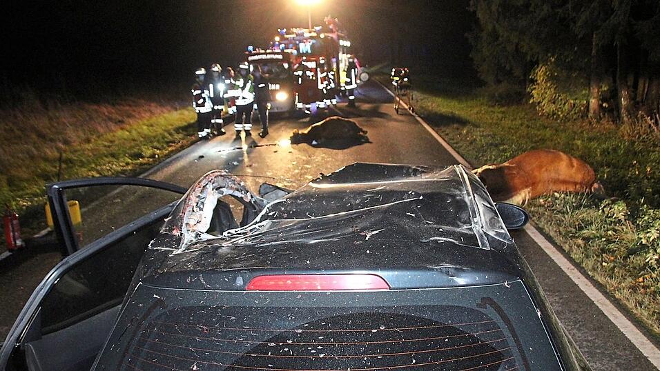Verkehrsunfälle, bei denen Pferde im Spiel sind, gehen selten gut aus. Nicht nur für die Tiere. Denn auch den Autoinsassen drohen beim Zusammenprall mit einem der mehrere hundert Kilo schweren Tiere schwerste Verletzungen. Unser Bild zeigt ein Beispiel solch eines Unfalls, der sich aber nicht in der Region ereignete. Verkehrsunfälle, bei denen Pferde im Spiel sind, gehen selten gut aus. Nicht nur für die Tiere. Denn auch den Autoinsassen drohen beim Zusammenprall mit einem der mehrere hundert Kilo schweren Tiere schwerste Verletzungen. Unser Bild zeigt ein Beispiel solch eines Unfalls, der sich aber nicht in der Region ereignete.
