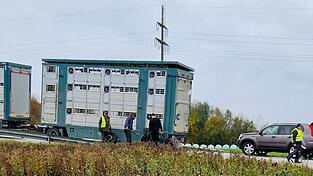 Das hätte gefährlich werden können: Der Anhänger verlor einen Reifen auf der B 20-Auffahrt. Das hätte gefährlich werden können: Der Anhänger verlor einen Reifen auf der B 20-Auffahrt.