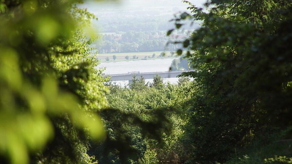 Blick vom Rauhenberg bei Wiesent auf die Donau. In diesem Waldgebiet ist ein 12,3 Hektar großer Steinbruch geplant. Blick vom Rauhenberg bei Wiesent auf die Donau. In diesem Waldgebiet ist ein 12,3 Hektar großer Steinbruch geplant.