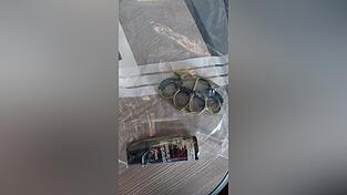 Die Polizei hat einem 19-Jährigen, der zunächst wegen Schwarzfahren aufgefallen war, einen Schlagring und ein Pfefferspray abgenommen. Die Polizei hat einem 19-Jährigen, der zunächst wegen Schwarzfahren aufgefallen war, einen Schlagring und ein Pfefferspray abgenommen.