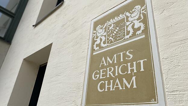 Richterin Birgit Fischer verhängte schließlich eine Geldstrafe von 2.700 Euro sowie eine Führerscheinsperrfrist von weiteren sechs Monaten. (Symbolbild) Richterin Birgit Fischer verhängte schließlich eine Geldstrafe von 2.700 Euro sowie eine Führerscheinsperrfrist von weiteren sechs Monaten. (Symbolbild)