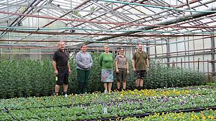Schnittchrysanthemen (hinten) und Veilchen werden in den Gewächshäusern für Allerheiligen angebaut. Das Team um Ludwig Kerscher (v.l.), Gina-Maria Bielmeier, Ursula Schindele-Abiad, Cornelia Stöckl und Florian Kerscher will zukünftig auf mehr Eigenproduktion setzen. Schnittchrysanthemen (hinten) und Veilchen werden in den Gewächshäusern für Allerheiligen angebaut. Das Team um Ludwig Kerscher (v.l.), Gina-Maria Bielmeier, Ursula Schindele-Abiad, Cornelia Stöckl und Florian Kerscher will zukünftig auf mehr Eigenproduktion setzen.