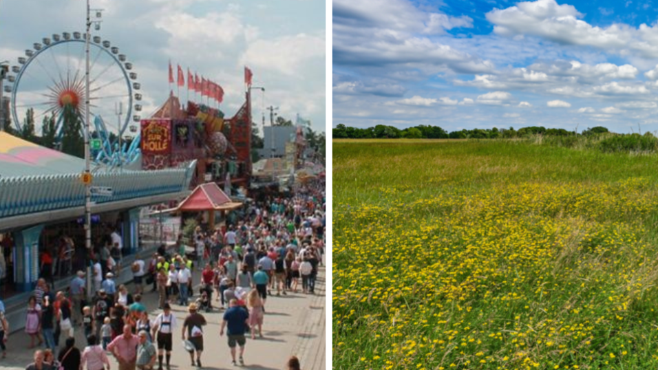 Obacht! Nur eines dieser zwei Bilder zeigt eine Wies'n. Obacht! Nur eines dieser zwei Bilder zeigt eine Wies'n.