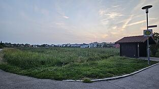 Auf dieser 18.900 Quadratmeter großen Fläche soll das Wohnbaugebiet „Südlich Blumenäcker“ entstehen. Im Vergleich zu den umliegenden Siedlungen werden dort die Grundstücke kleiner und die Bebauungen enger sein. Auf dieser 18.900 Quadratmeter großen Fläche soll das Wohnbaugebiet „Südlich Blumenäcker“ entstehen. Im Vergleich zu den umliegenden Siedlungen werden dort die Grundstücke kleiner und die Bebauungen enger sein.