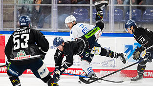 Bei der 0:4-Heimpleite gegen die Adler Mannheim brachten die Straubing Tigers nur selten eine sprichwörtliche Kufe aufs Eis und kassierten die fünfte Niederlage aus den vergangenen sechs Spielen. Bei der 0:4-Heimpleite gegen die Adler Mannheim brachten die Straubing Tigers nur selten eine sprichwörtliche Kufe aufs Eis und kassierten die fünfte Niederlage aus den vergangenen sechs Spielen.