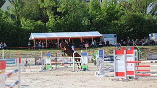 Hier ist Fabian Huber vom gastgebenden Verein auf seinem Ritt zum Sieg. Im Hintergrund zu sehen ist ein Teil des Zuschauerhügels. Viele Interessierte hatten sich eingefunden, um die Wettbewerbe zu verfolgen. Hier ist Fabian Huber vom gastgebenden Verein auf seinem Ritt zum Sieg. Im Hintergrund zu sehen ist ein Teil des Zuschauerhügels. Viele Interessierte hatten sich eingefunden, um die Wettbewerbe zu verfolgen.