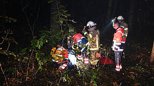 Die in den Wald geschleuderte Person wird rettungsdienstlich versorgt. Die in den Wald geschleuderte Person wird rettungsdienstlich versorgt.