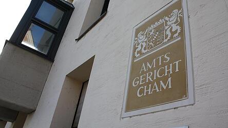 Im Gerichtssaal wollte sich der amtsbekannte junge Mann herausreden. Im Gerichtssaal wollte sich der amtsbekannte junge Mann herausreden.