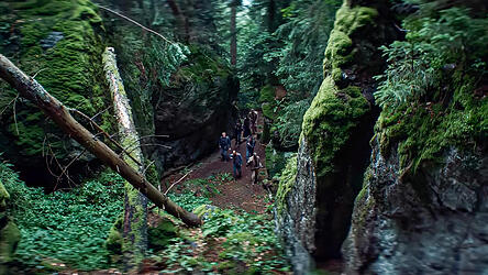 Oregon oder Niederbayern? Einheimische werden ihren Wald sofort erkennen. Oregon oder Niederbayern? Einheimische werden ihren Wald sofort erkennen.