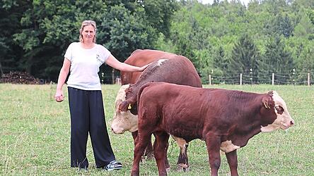 Nicole Kolbinger streichelt Petrus, einen von zwei Deckstieren der Rinderrasse Hereford. Insgesamt haben die Kolbingers 45 Rinder. Nicole Kolbinger streichelt Petrus, einen von zwei Deckstieren der Rinderrasse Hereford. Insgesamt haben die Kolbingers 45 Rinder.