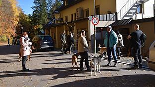 Bereit für die geführte Wanderung, die regelmäßig stattfindet. Bereit für die geführte Wanderung, die regelmäßig stattfindet.