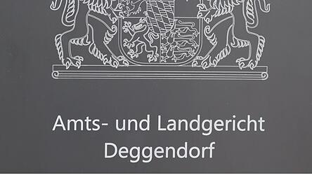 Ein 23-jähriger Syrer bangt wegen einer drei Jahre zurückliegenden Straftat um seine Einbürgerung. Ein 23-jähriger Syrer bangt wegen einer drei Jahre zurückliegenden Straftat um seine Einbürgerung.
