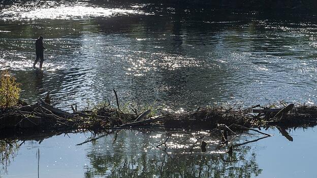 In der Isar setzte das Bayerische Landesamt für Umwelt rund 40.000 Fische aus. (Symbolbild) In der Isar setzte das Bayerische Landesamt für Umwelt rund 40.000 Fische aus. (Symbolbild)