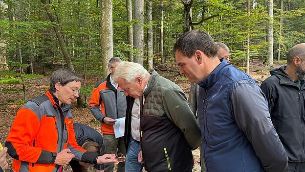 Ursula Schuster (l.) zeigt Alois Rainer und Sebastian Gruber (r.) den Harzporling-Düsterkäfer. Ursula Schuster (l.) zeigt Alois Rainer und Sebastian Gruber (r.) den Harzporling-Düsterkäfer.
