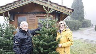 Heidi und Helmut Stangl wissen genau, wie der Lebenslauf eines Christbaums aussieht. (Foto: Julia Gabauer) Heidi und Helmut Stangl wissen genau, wie der Lebenslauf eines Christbaums aussieht. (Foto: Julia Gabauer)