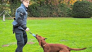 Die Diensthundeführerin Bianca Schmidbauer lässt sich gerne auf ein neues Berufsabenteuer mit ihrem jungen Labrador-Rüden Iophiel ein. Die Diensthundeführerin Bianca Schmidbauer lässt sich gerne auf ein neues Berufsabenteuer mit ihrem jungen Labrador-Rüden Iophiel ein.