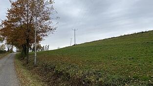 Ein Blick von der Straße bei Schmidhof auf das Gelände, wo Aufschüttungen geplant sind. Ein Blick von der Straße bei Schmidhof auf das Gelände, wo Aufschüttungen geplant sind.