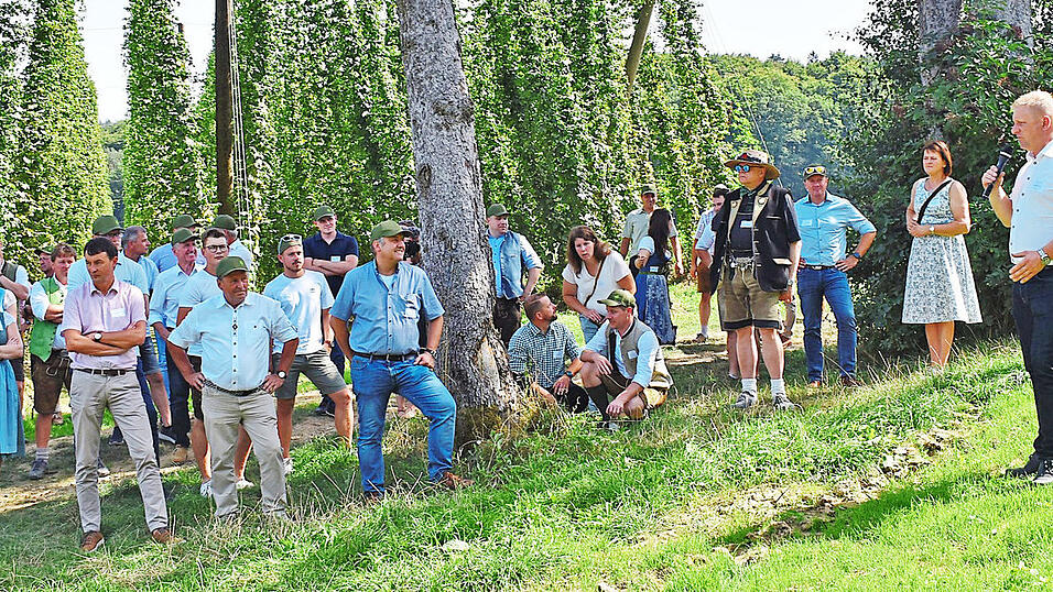 Einen Blick auf die Entwicklung des Hopfens während der Saison warf Georg Kindsmüller vom Hopfenring. Einen Blick auf die Entwicklung des Hopfens während der Saison warf Georg Kindsmüller vom Hopfenring.