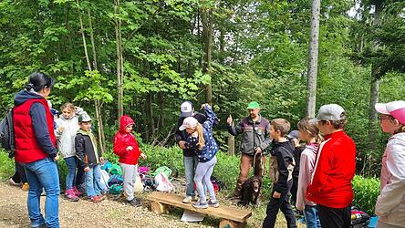 Der Holzsteg stellt einen schmalen Pfad über eine Schlucht mit Krokodilen dar; wer runterfällt, wird gefressen. Deshalb war die Aufgabe von jeweils zwei Schülern, sich gegenseitig zu helfen, damit beide unbeschadet den Holzsteg passieren konnten. Der Holzsteg stellt einen schmalen Pfad über eine Schlucht mit Krokodilen dar; wer runterfällt, wird gefressen. Deshalb war die Aufgabe von jeweils zwei Schülern, sich gegenseitig zu helfen, damit beide unbeschadet den Holzsteg passieren konnten.
