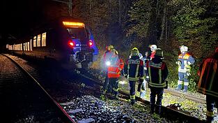 Bei dem Zusammenstoß mit einem Baum wurde kein Passagier des Zuges verletzt. Bei dem Zusammenstoß mit einem Baum wurde kein Passagier des Zuges verletzt.
