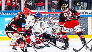 Vollbeschäftigung: Die Landshuter heizten EHC-Keeper Patrik Cerveny mit 36 Schüssen auf den Kasten ganz schön ein. Dabei sprangen für die Hausherren fünf Treffer heraus - unter anderem die „Bude“ von Tor Immo in doppelter Überzahl zum 4:1. David Elsner (li.) sammelte per Assist einen Scorerpunkt. Vollbeschäftigung: Die Landshuter heizten EHC-Keeper Patrik Cerveny mit 36 Schüssen auf den Kasten ganz schön ein. Dabei sprangen für die Hausherren fünf Treffer heraus - unter anderem die „Bude“ von Tor Immo in doppelter Überzahl zum 4:1. David Elsner (li.) sammelte per Assist einen Scorerpunkt.