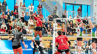 Das US-Girl mit dem Hammer: Crystal Burk hat in Markkleeberg die meisten Raben-Punkte erzielt - nämlich 14. Nun möchte die nur 1,70 Meter große und 24 Jahre alte Außenangreiferin natürlich auch vor den eigenen Fans den (Sprung-)Turbo zünden. Das US-Girl mit dem Hammer: Crystal Burk hat in Markkleeberg die meisten Raben-Punkte erzielt - nämlich 14. Nun möchte die nur 1,70 Meter große und 24 Jahre alte Außenangreiferin natürlich auch vor den eigenen Fans den (Sprung-)Turbo zünden.