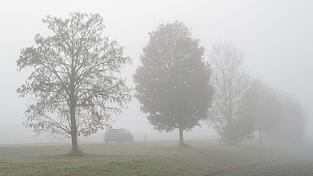 Das Wetter wird zwar zum Wochenende milder, aber es bleibt vielerorts glatt. (Symbolbild) Das Wetter wird zwar zum Wochenende milder, aber es bleibt vielerorts glatt. (Symbolbild)