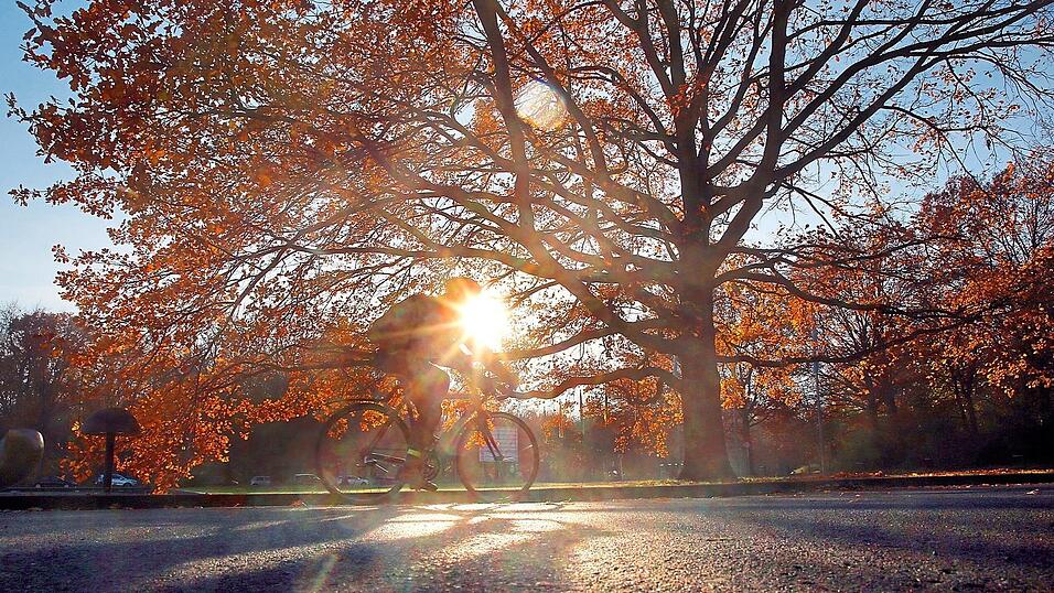 Wir müssen der Lunge auch Pausen gönnen, sagt Dr. Katharina Schmid. Wir müssen der Lunge auch Pausen gönnen, sagt Dr. Katharina Schmid.